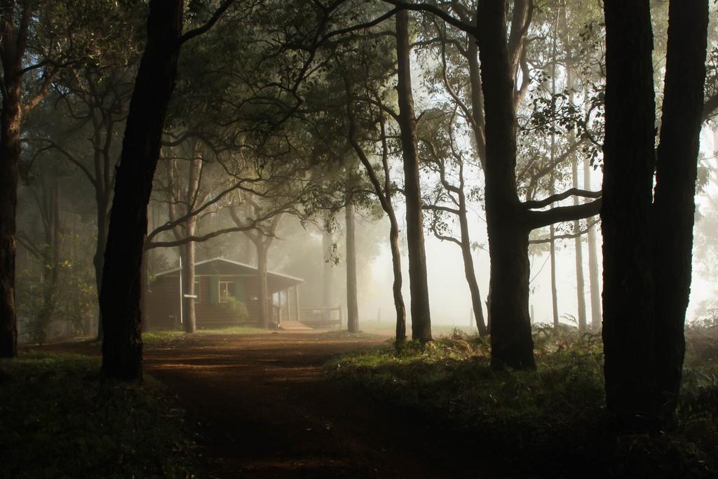 Balingup Heights Hilltop Forest Cottages Luaran gambar