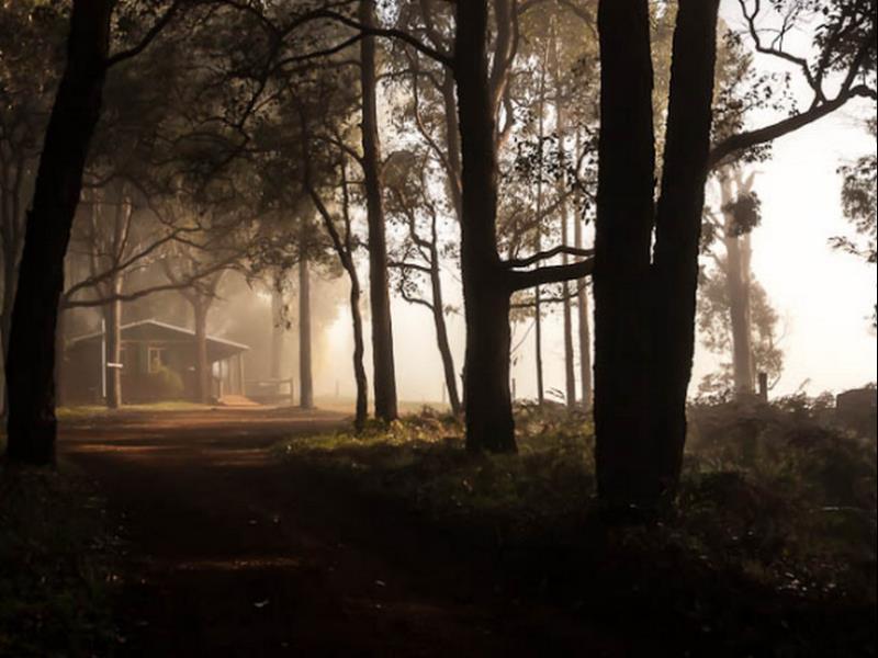 Balingup Heights Hilltop Forest Cottages Luaran gambar
