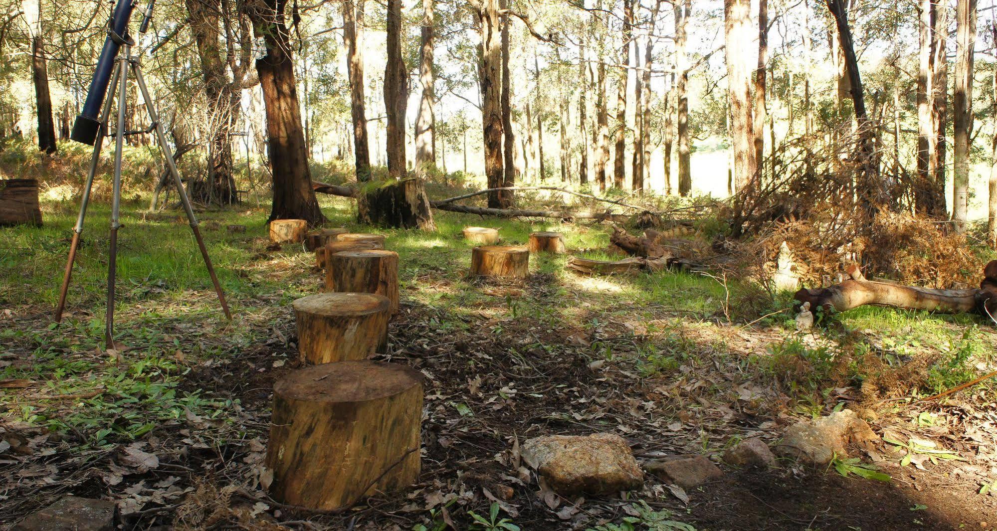 Balingup Heights Hilltop Forest Cottages Luaran gambar